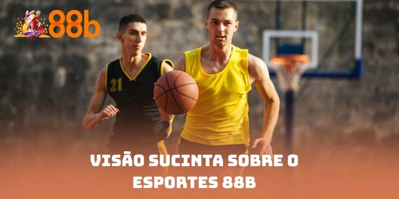 Visão sucinta sobre o Esportes 88B